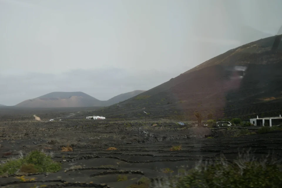 P1000845 960x640